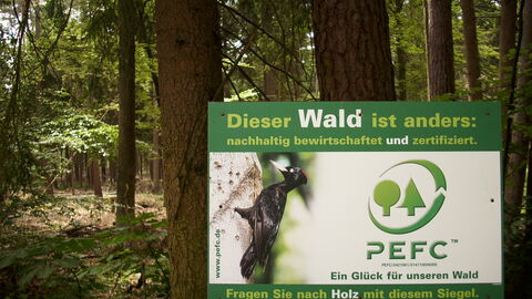 Dieser Wald ist PEFC zertifiziert Dieser Wald ist PEFC zertifiziert