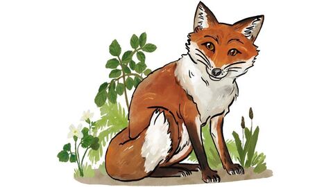 Gemalter sitzender Fuchs