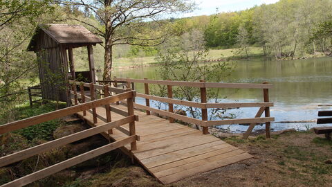 Der Willingsgrundweiher