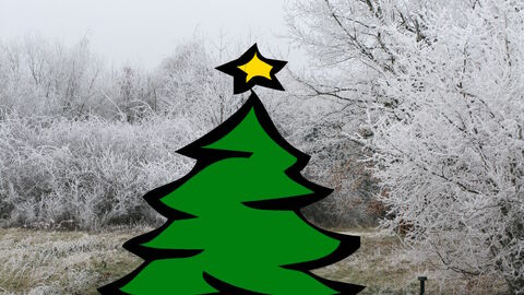 Winterliches Arboretum Winterliches Arboretum