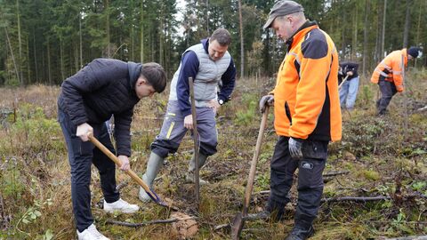 Unter geduldiger Anleitung von Forstwirtschaftsmeister Frank Kleinwächter lernen auch die Lehrer das fachgerechte Pflanzen. Unter geduldiger Anleitung von Forstwirtschaftsmeister Frank Kleinwächter lernen auch die Lehrer das fachgerechte Pflanzen.