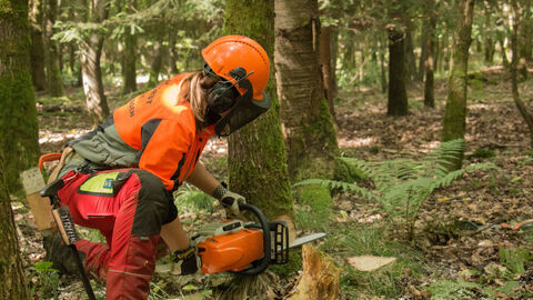 Forstwirtin bei einer Fällung