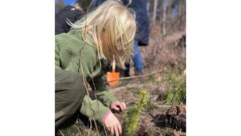 Ein Kind kniet auf der Fläche und begutachtet eine Douglasie 