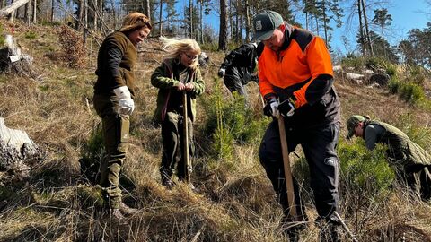 Drei Personen stehen auf der Pflanzfläche und pflanzen ihre Bäume