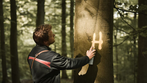 Ausweisung von Habitatbäumen Auf dem Foto sehen Sie einen Mann der ein H auf einen Baum sprüht. Das H steht für Habitatbaum