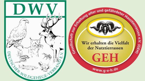 Auf dem Foto sieht man die zwei Logos der in diesem Artikel vorgestellten Vereine