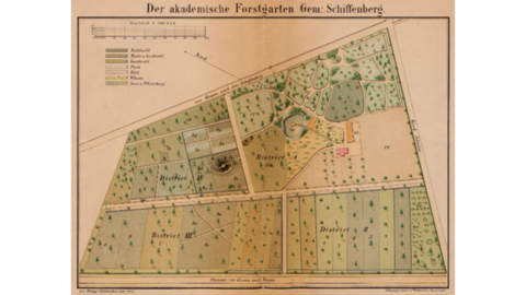 Karte von 1877  Zu sehen ist eine Karte von 1877 die den Aufbau des akademischen Forstgartens zeigt
