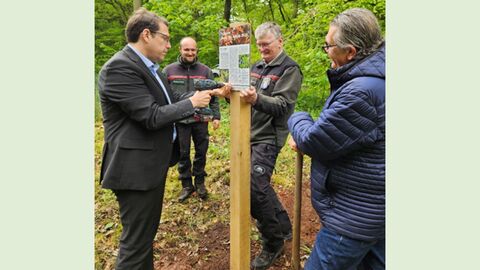 Auf dem Foto sehen sie eine Gruppe Menschen die das Baum des JAhres Schild anbringen