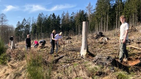 Freiwillige Helfer beim Pflanzen