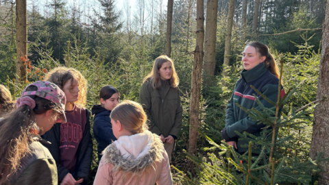 Revierleiterin Lisanne Voges erläutert die Lebensweise der Borkenkäfer