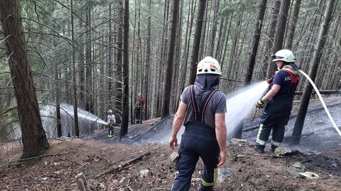 So kann das Löschen eines Waldbrandes aussehen Auf dem Foto sehen sie zwei Feuerwehrmänner die einen Waldbrand löschen