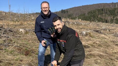 Vorführung Mini-Plug-Pflanzung durch Jochen Arnold