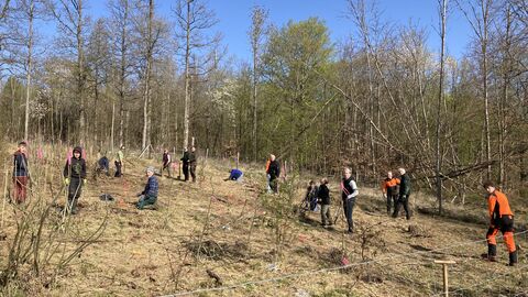 Auf dem Foto sehen sie eine Gruppe Menschen die im Wald pflanzt