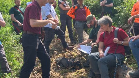 Ein Waldbautrainer referiert vor Kolleginnen und Kollegen beim Waldbaulehrgang im Forstamt Rotenburg 