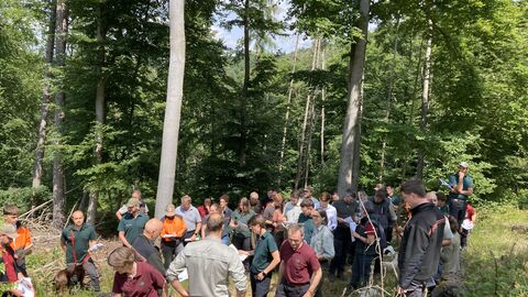Mitarbeitende von HessenForst beim Waldbaulehrgang im Forstamt Rotenburg
