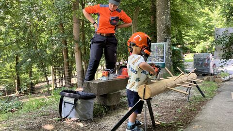 Mitmach-Aktionen mit HessenForst