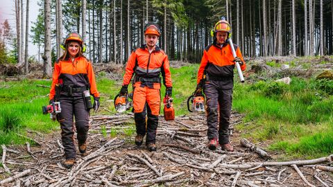 Drei Forstwirte im Wald