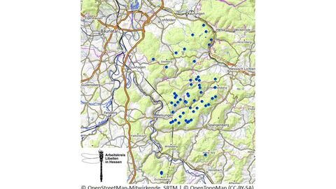 Meldungen der Libelle im Forstamt Melsungen Meldungen der Libelle im Forstamt Melsungen