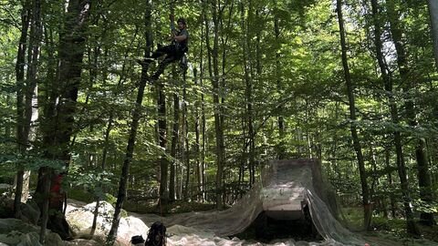 Baumkletterer Schüttelt Kirschen vom Baum