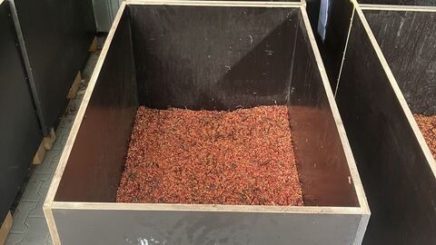 Verschiedene Behälter mit Saatgut