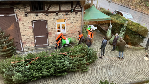 FÖJler beim Weihnachtsbaumverkauf Vor einem Gebäude netzen verschiedene Menschen in orangener Kleidung Weihnchtsbäume ein. Daneben stehen Kunden und viele Weichnachtsbäume zur Auswahl.