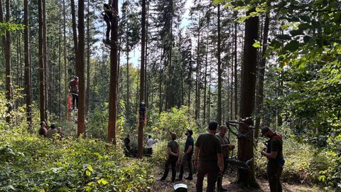 In einem Nadelholzbestand stehen mehrere Kleingruppen, die den Umgang mit dem Klettersitz erproben. 