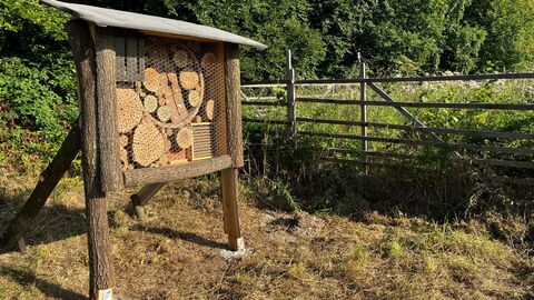 Ein Intsektenhotel am Waldrand vor einer eingezäunten Kulturfläche. 