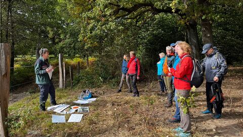 Dr. Mölder steht vor den Teilnehmenden am Weidezaun und doziert zum Roten Höhenvieh. 