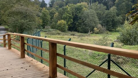 Blick von der Bärenbrücke in das Bärengehege