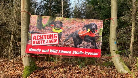 Zwischen zwei Bäumen ist ein Banner aufgespannt. Auf dem Banner sind zwei Jagdhunde abgebildet. Der Text auf dem Banner lautet: Achtung Heute Jagd! Hunde und Wild können Straße kreuzen!