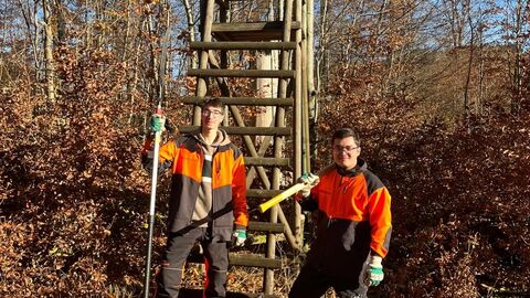 Die neuen FÖJ'ler stehen im Herbstwald vor einem Hochsitz.