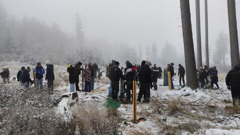 Schülerinnen und Schüler pflanzen bei Schneewetter Bäume