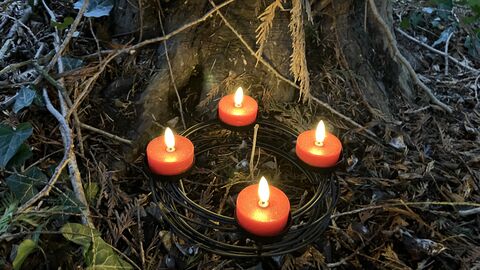 Ein Weihnachtskranz mit vier brennenden kerzen am Wurzelstock eines Baumes