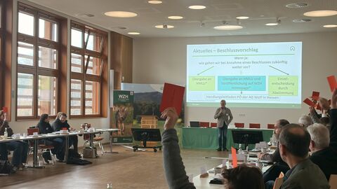 Beschlussfassung AG Wolf 