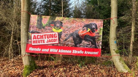 Zwischen zwei Bäumen ist ein Banner aufgespannt. Auf dem Banner sind zwei Jagdhunde abgebildet. Der Text auf dem Banner lautet: Achtung Heute Jagd! Hunde und Wild können Straße kreuzen!