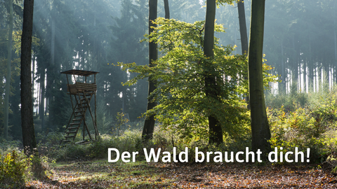 Ein Hochsitz auf einer Waldlichtung. Im Vordergrund Bäume und unten der Spruch "Der Wald braucht dich!"