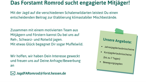 Die Rückseite einer psotkarte mit verschiedenen Textelementen. 