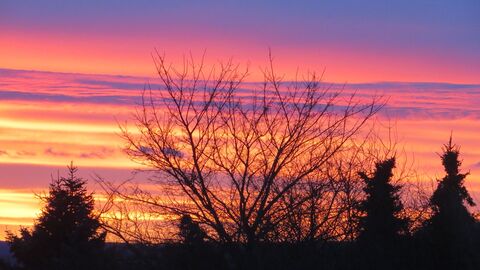 Abendrot im Tiergarten Weilburg