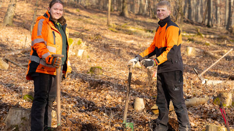 Zwei FÖJler stehen mit Spaten im Wald. Sie blicken in die Kamera. Der rechte hält eine frische Baumpflanze in der einen und einen Pflanzaspaten in der anderen Hand.  