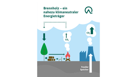 Eine Grafik zum CO2-Kreislauf der Holznutzung im Vergleich zum CO2-Aufkommen bei Nutzung fossiler Energien. 