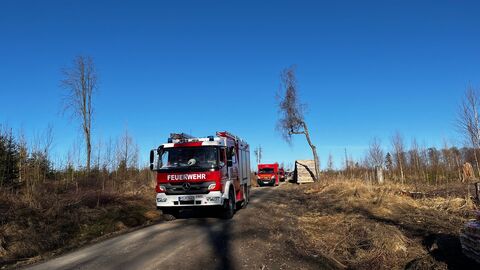 Feuerwehrauto auf Waldweg