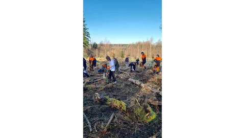 Viele Leute auf einer Pflanzfläche mit Werkzeug und Jungpflanzen. 