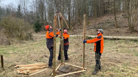 Dre PErsonen in Forstsignalleidung bauen einen Holzschutz für den gepflanzten Apfelbaum auf. 
