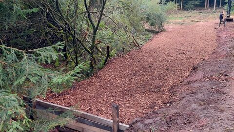 Ein verschlossener Entwässerungsgraben im Wald. Dahinter Büsche und Bäume. 