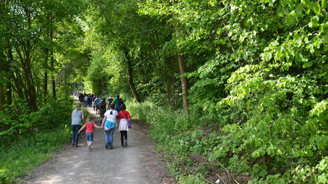 Eine Gruppe wandert auf einem Waldweg.