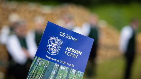 Flyer zum 25-jährigen Jubiläum des Landesbetriebes HessenForst
