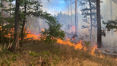 Trockenes Gras in einem lichten Waldbereich hat Feuer gefangen. Qualm steigt auf. Dahinter blauer Himmel und Walkulisse. 