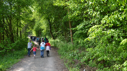 Familienwanderung durch heimische Wälder