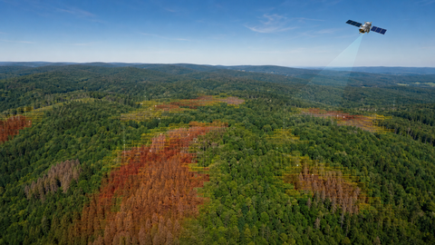Ein Satelit fliegt über einer Waldfläche und scannt sie nach abgestorbenen Bäumen ab. 