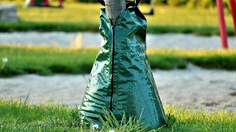 Wassersack an Baum.
